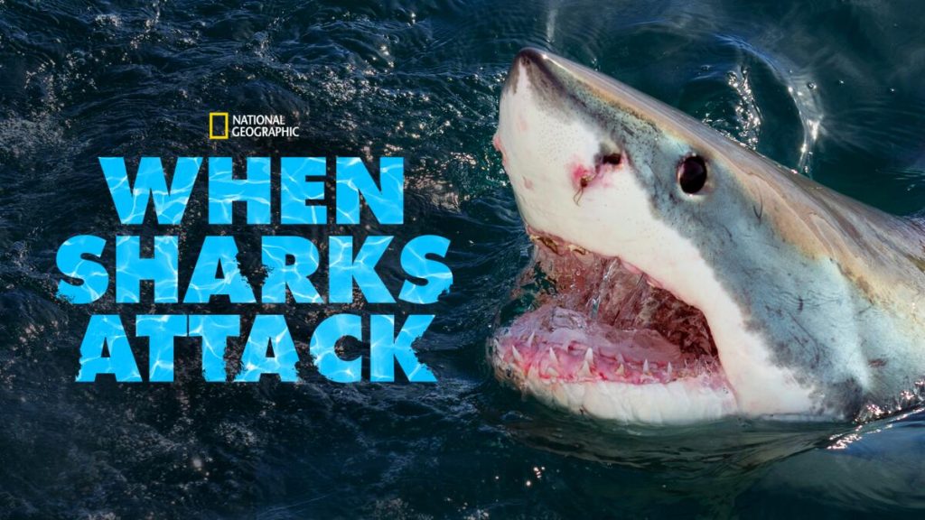 Title art for the National Geographic documentary, When Sharks Attack.