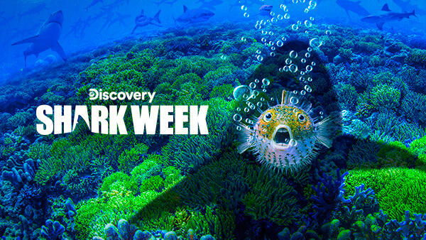 Title art for the promotion of Shark Week on Discovery Channel.