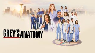 Title art for Season 21 of Grey's Anatomy.