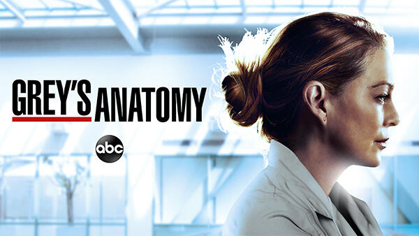 Title art for ABC hit medical drama Grey's Anatomy.