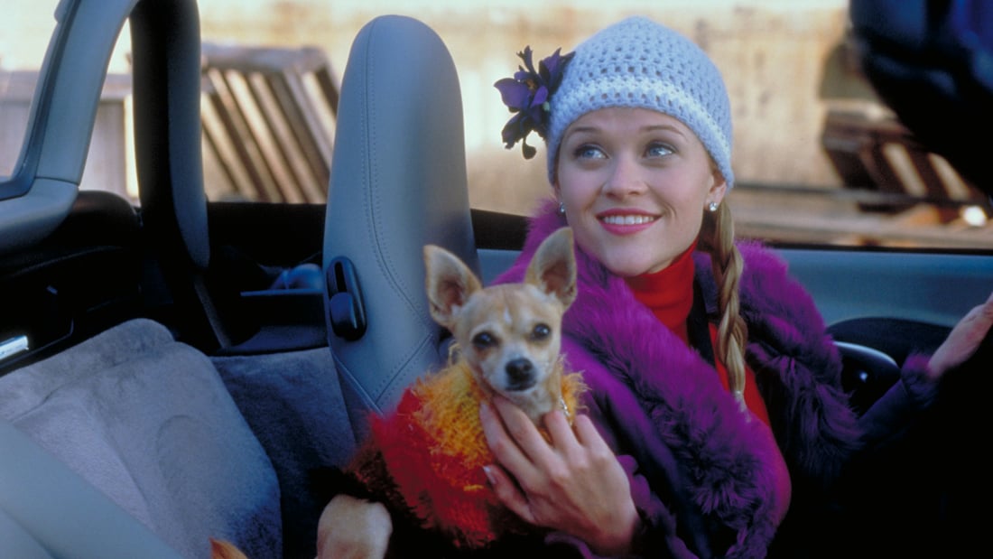 Reese Witherspoon in Legally Blonde driving in the car with a dog